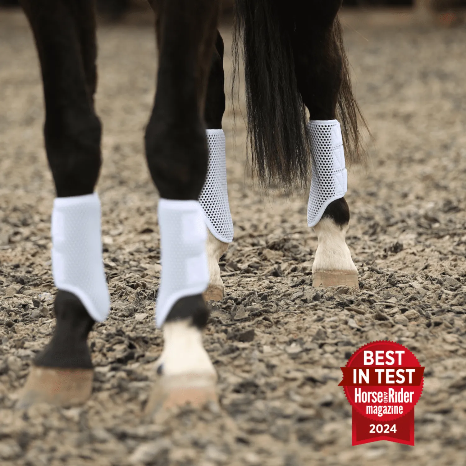 Equilibrium Breathable Tri-Zone White Brushing Boots