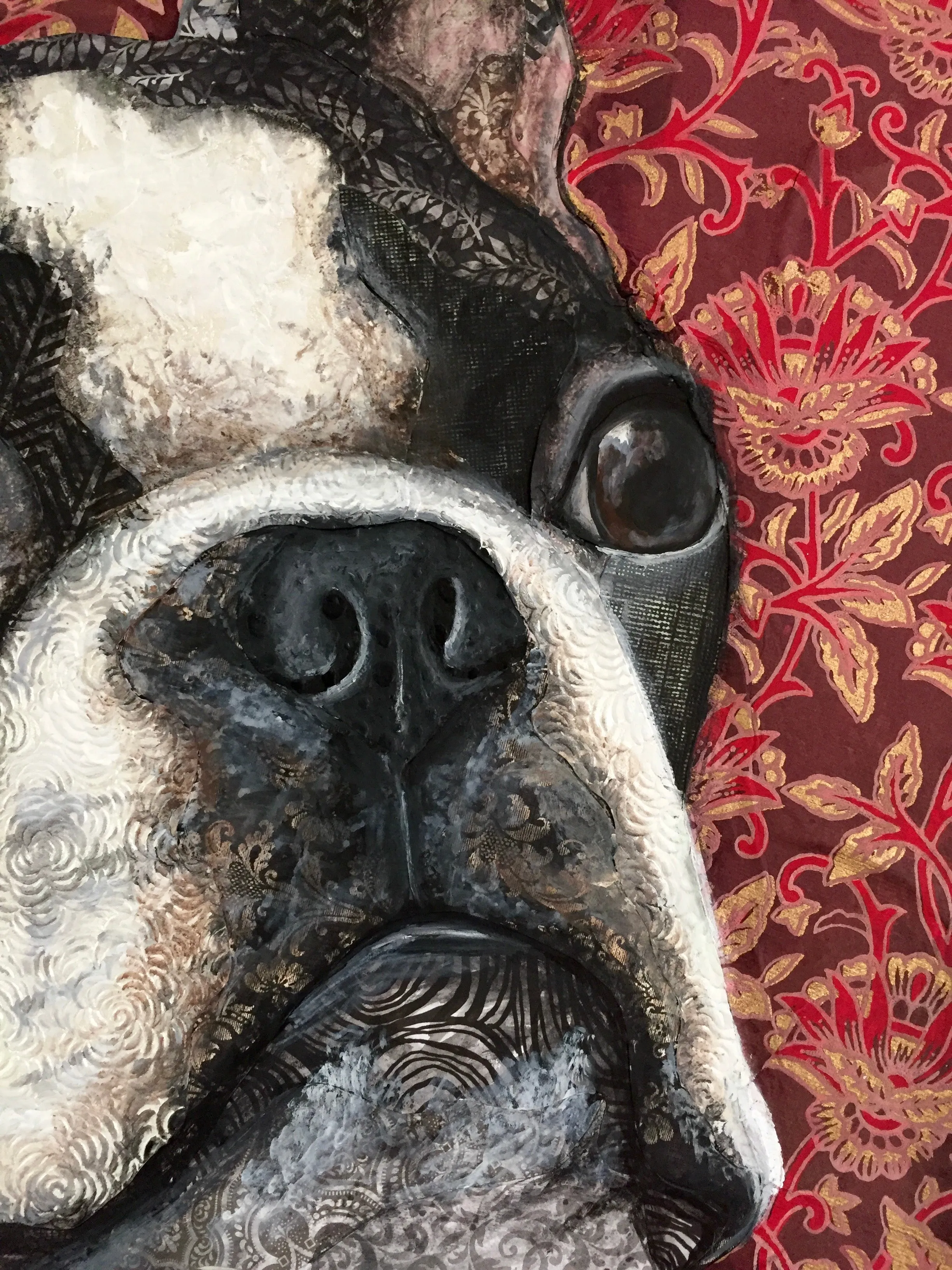 Fiona - Boston Terrier