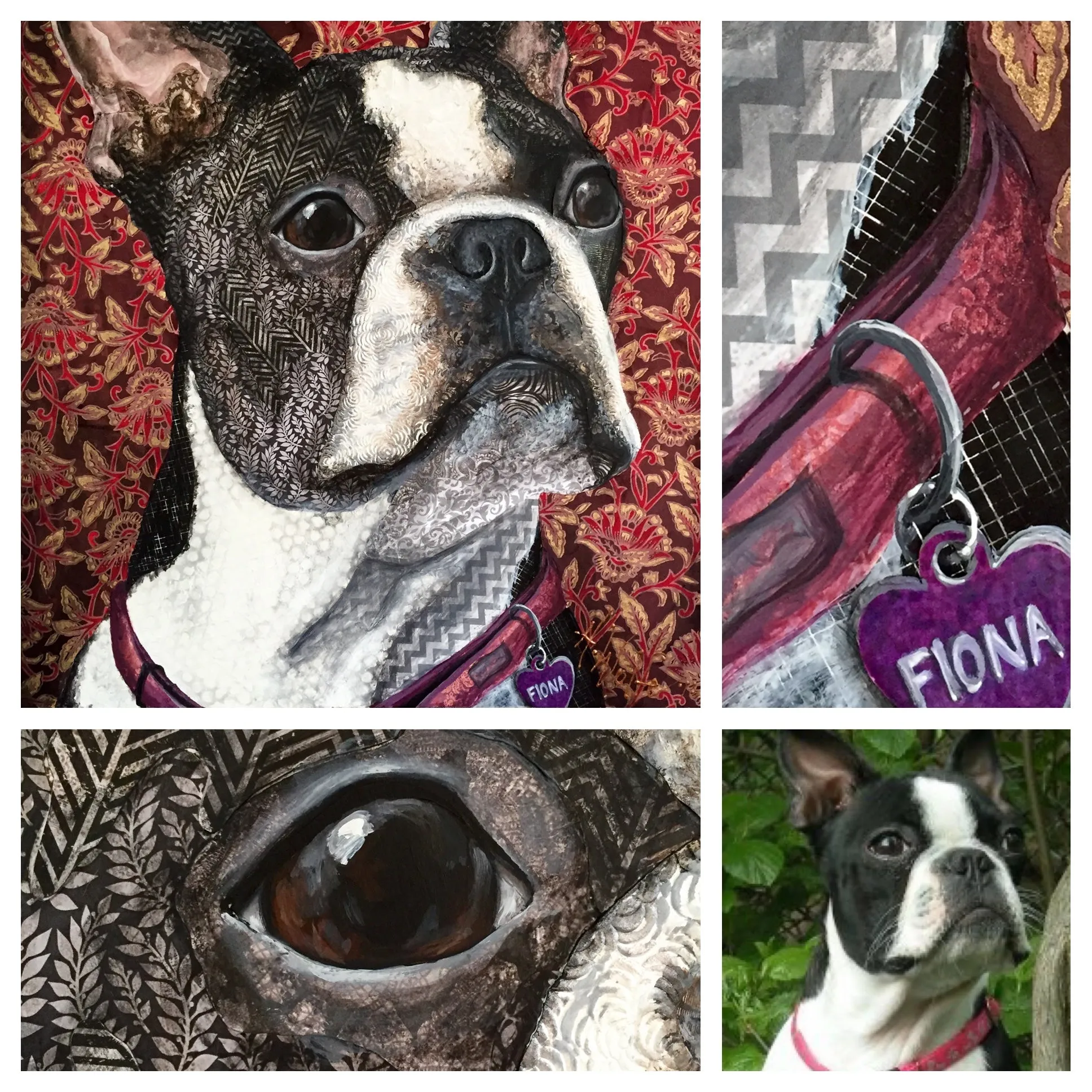 Fiona - Boston Terrier