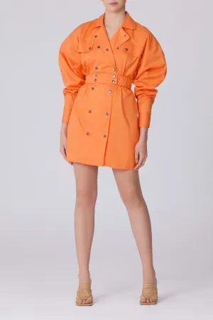 Function Dress