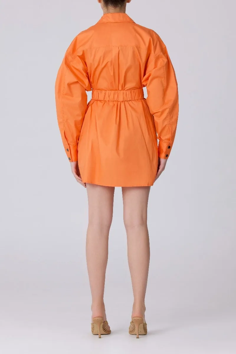 Function Dress