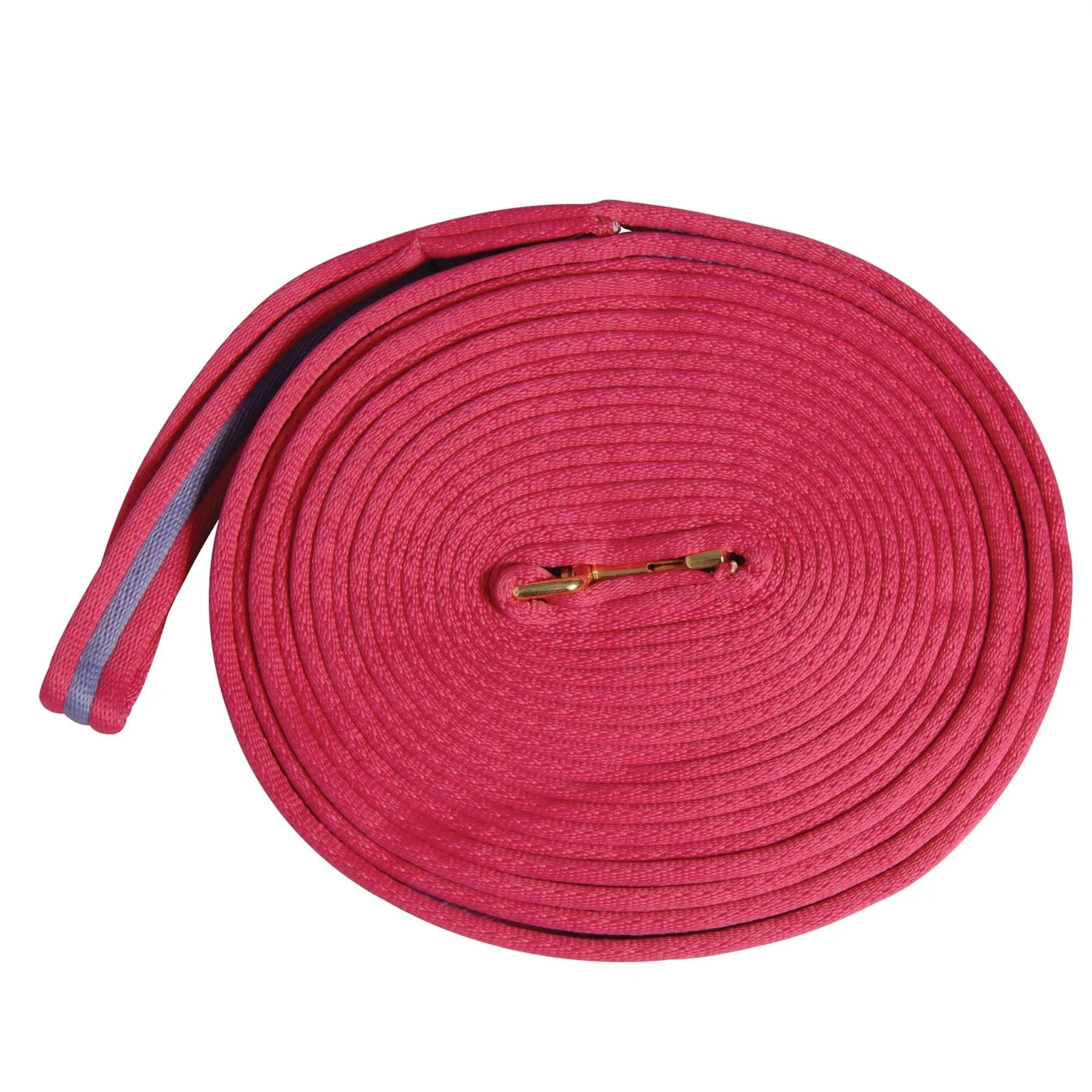 Kincade 2 Tone Padded Lunge Rein