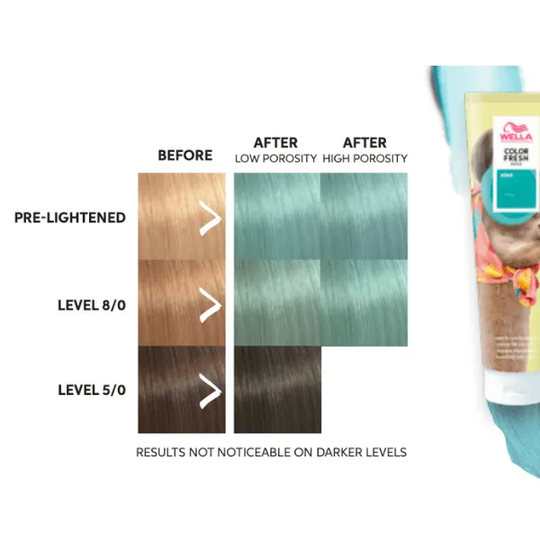 Masque Mint Bold Color Fresh