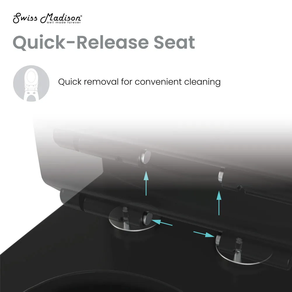 Monaco One-Piece Elongated Toilet Dual-Flush, Matte Black 1.1/1.6 gpf