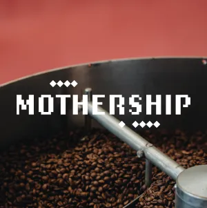 Mothership Blend Subscription - 3 months - Fortnightly Delivery
