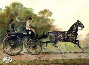 PDXC3595 -- Horse and Carriage