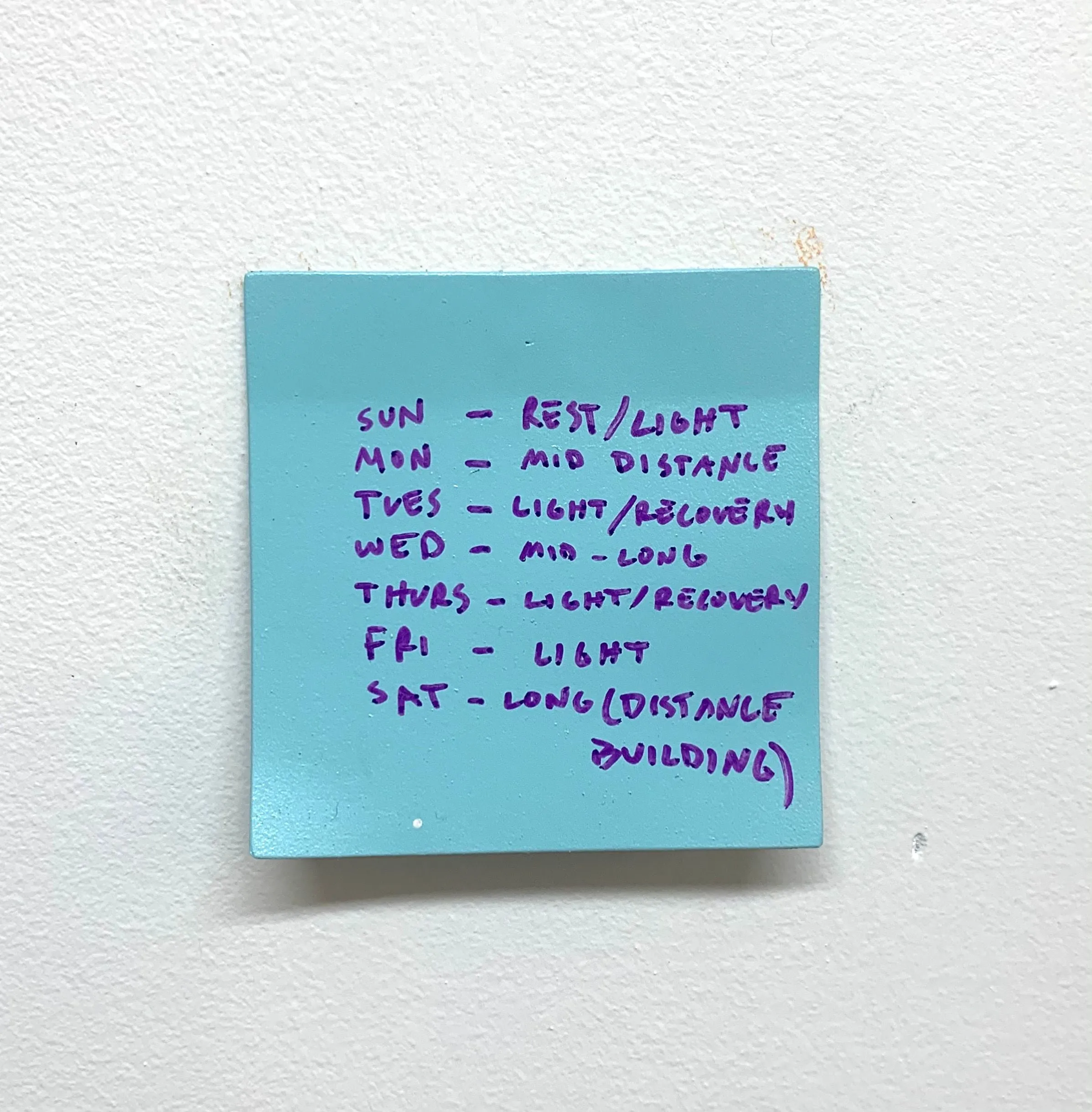 Stuart Lantry, "Training Schedule"