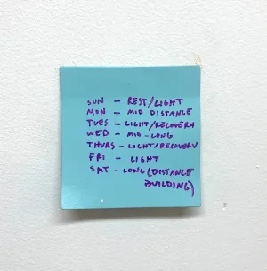 Stuart Lantry, "Training Schedule"