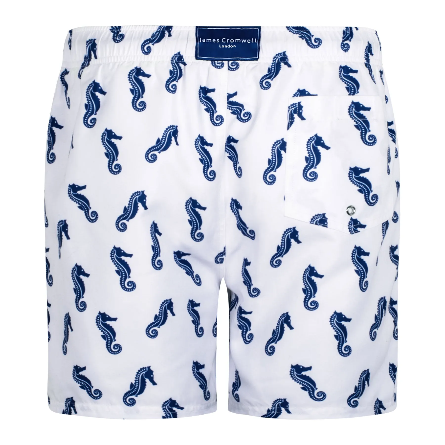 White Bold Seahorse