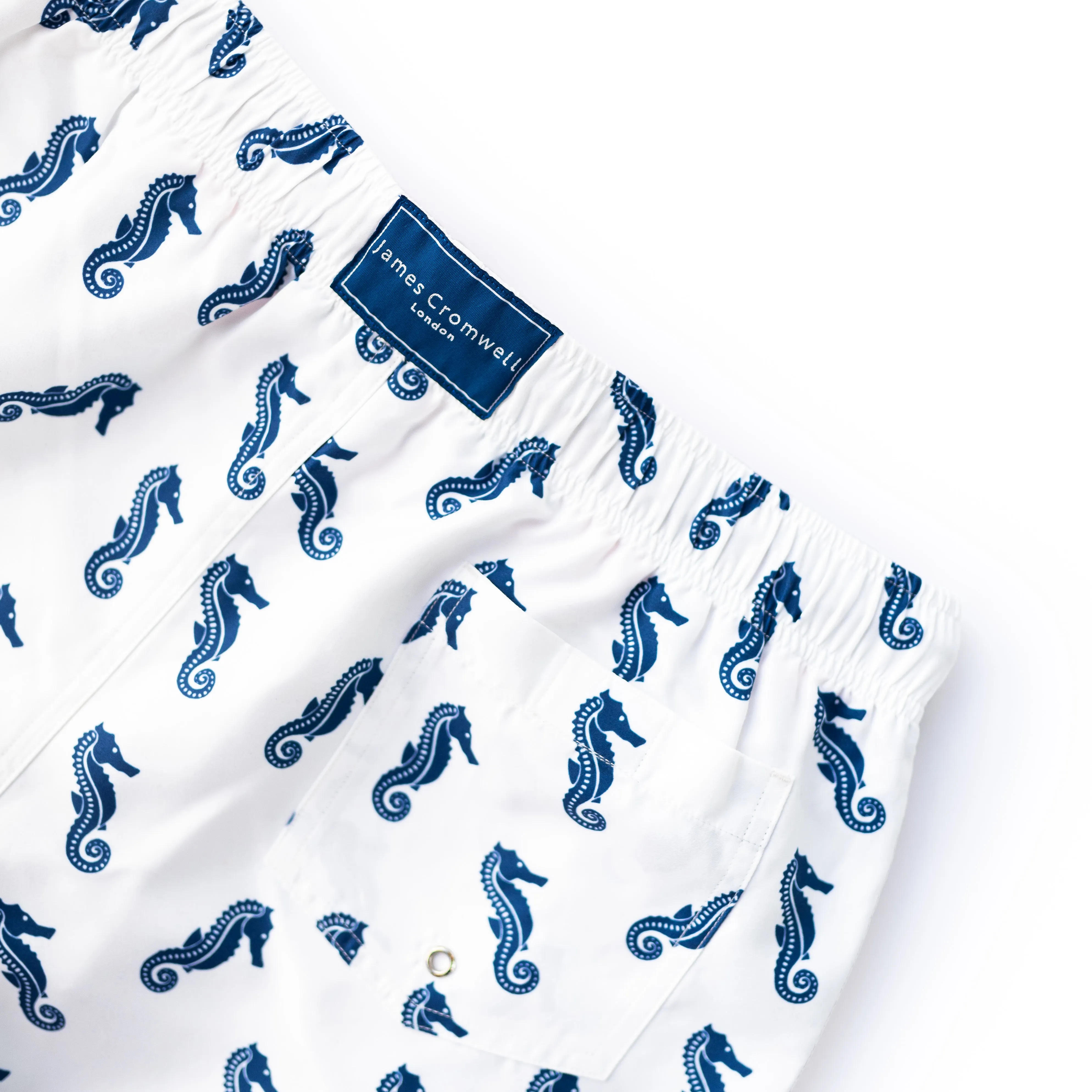 White Bold Seahorse