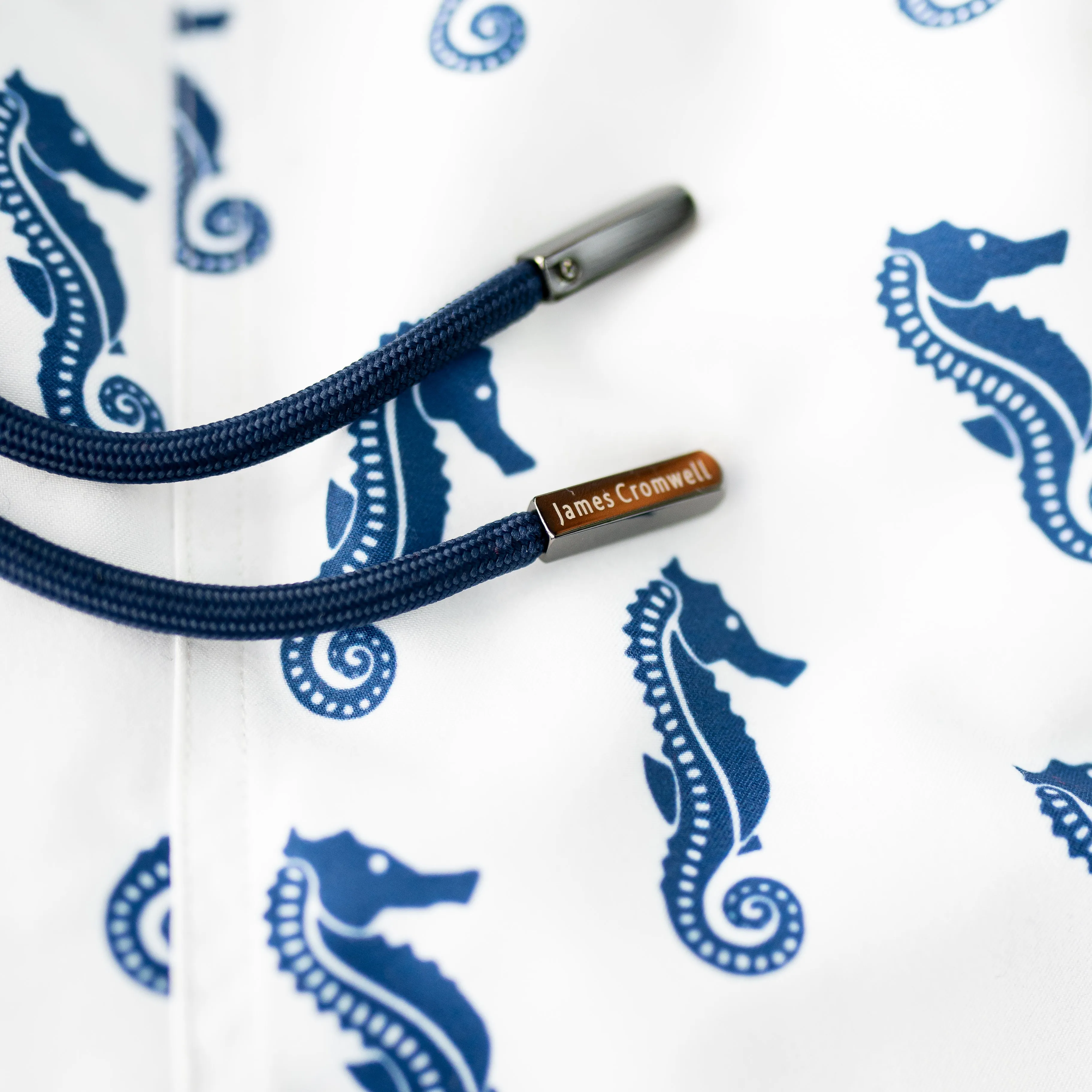 White Bold Seahorse